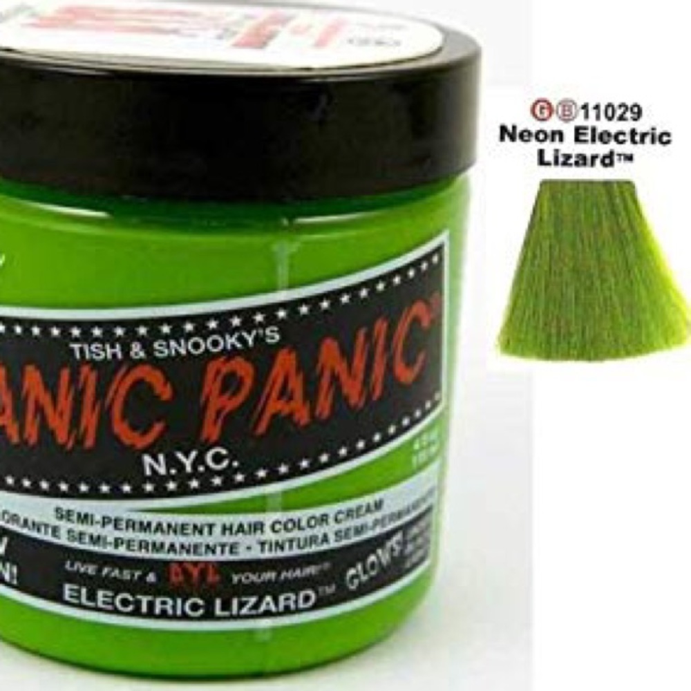 Electric Lizard